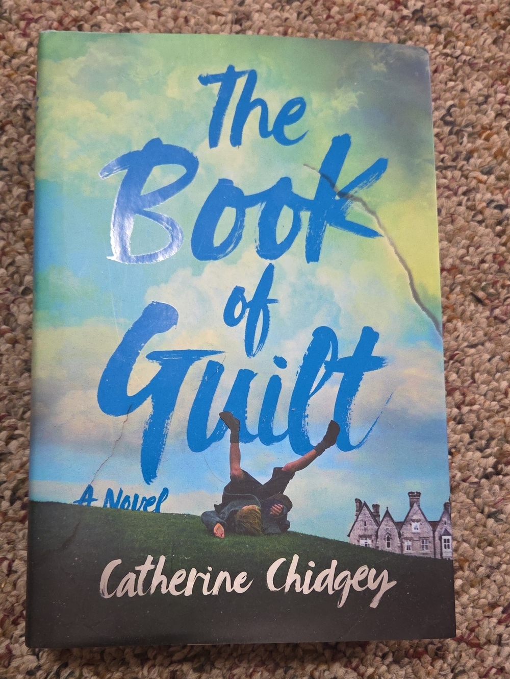 The Book of Guilt by Catherine Chidgey - Sky Blue & Green Cover